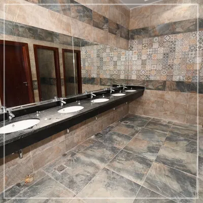 كلية العلاج الطبيعي – جامعة ميريت