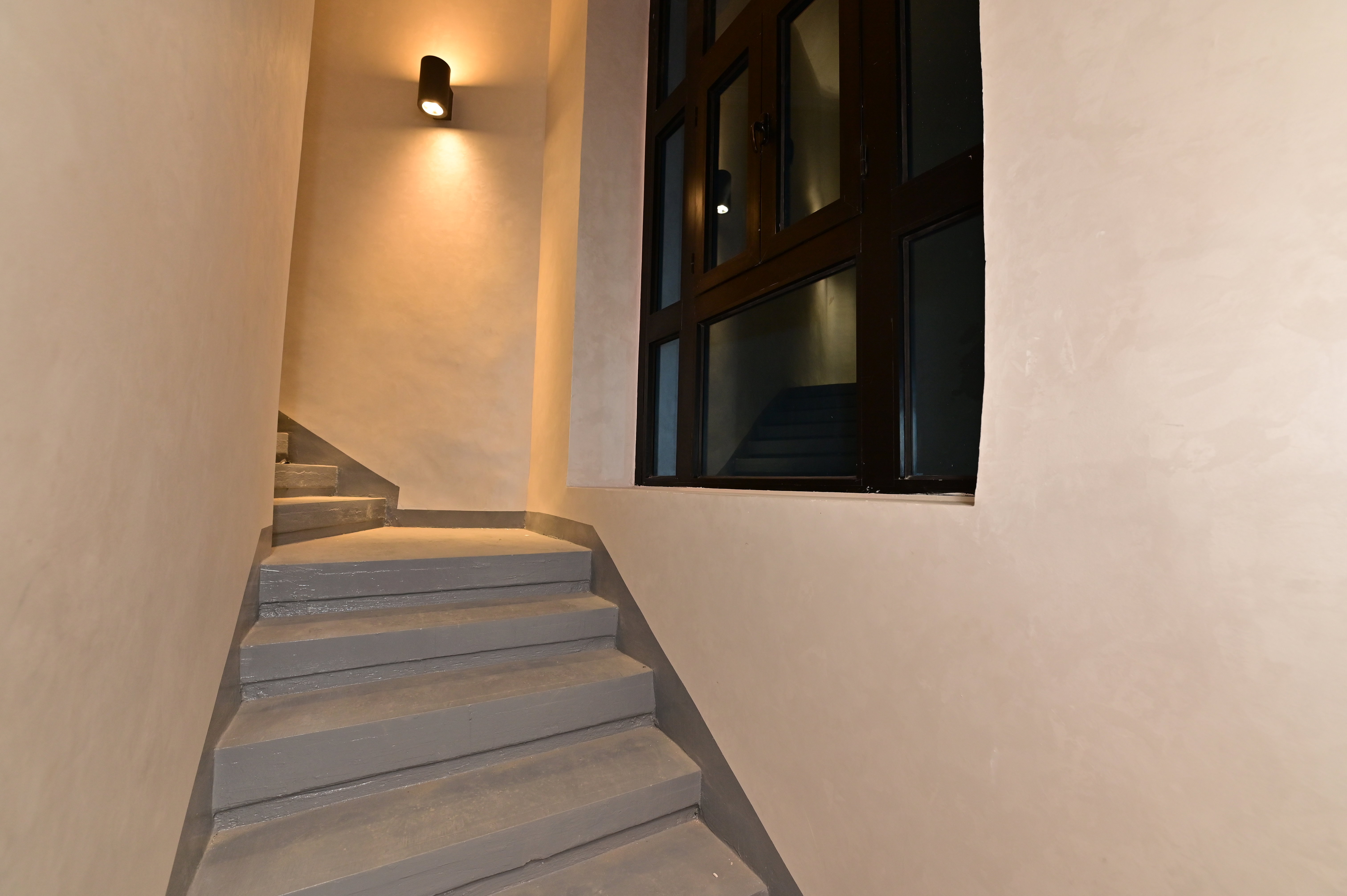 فرع محمد فريد