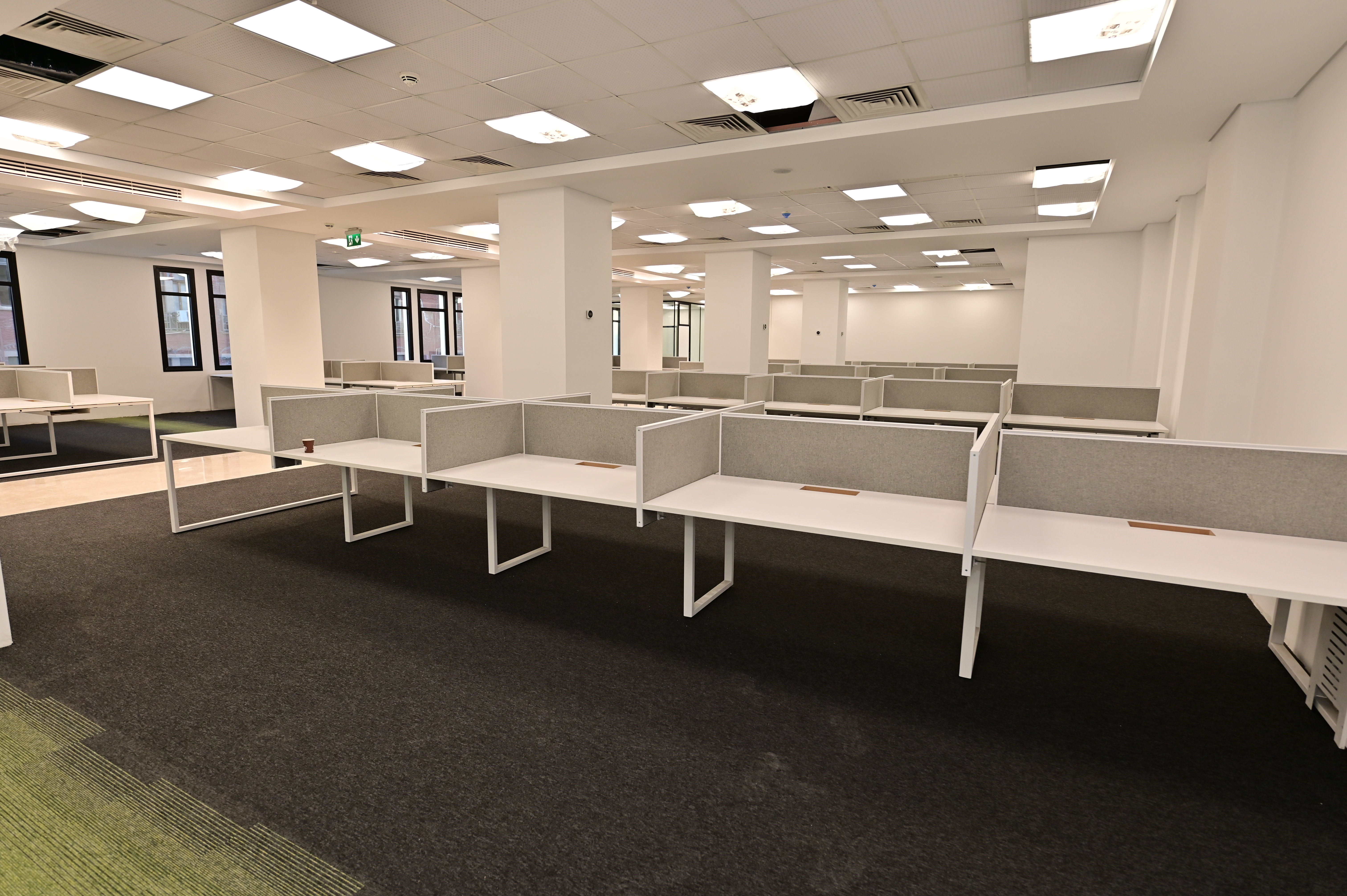 فرع محمد فريد