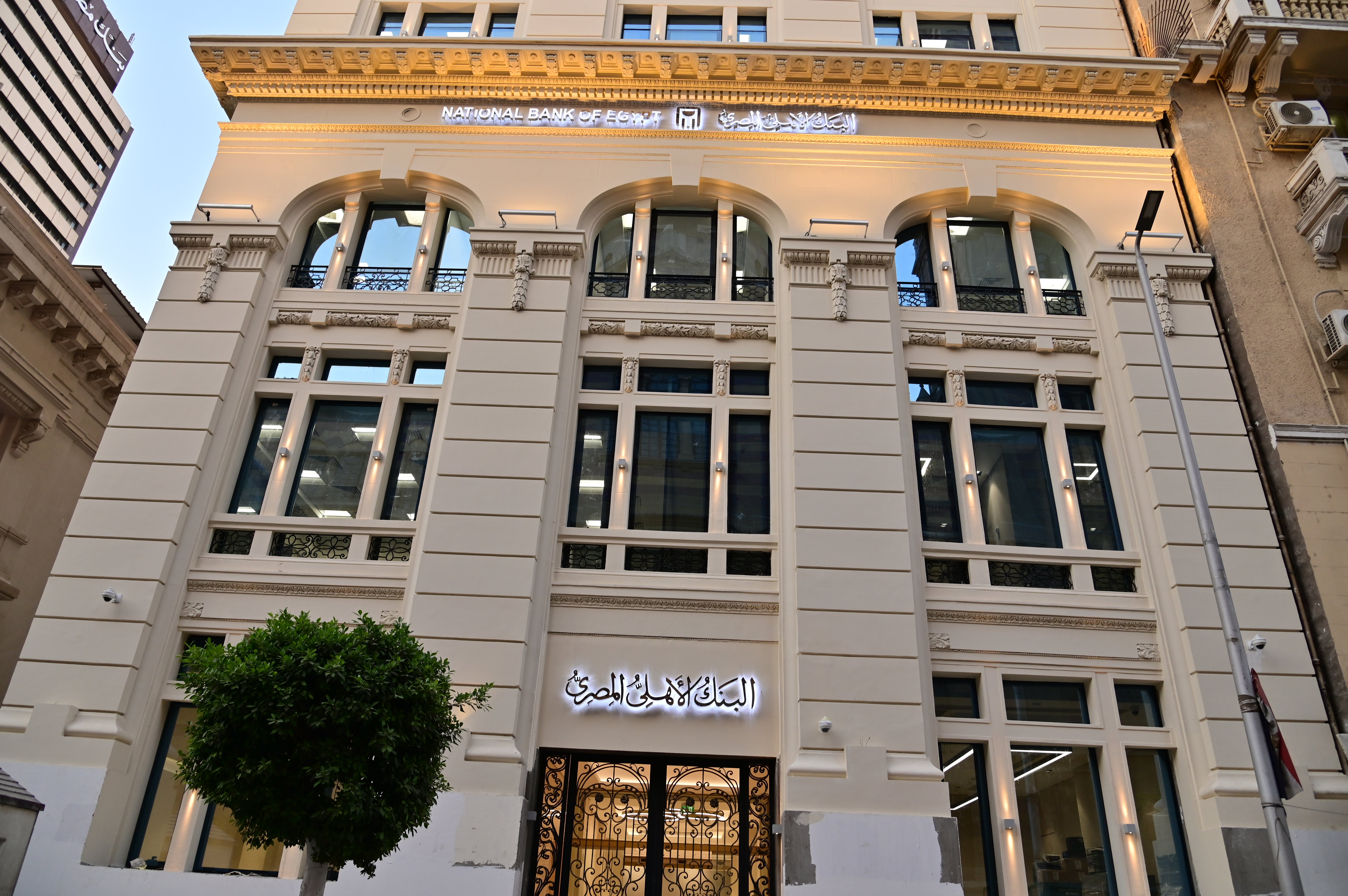 فرع محمد فريد