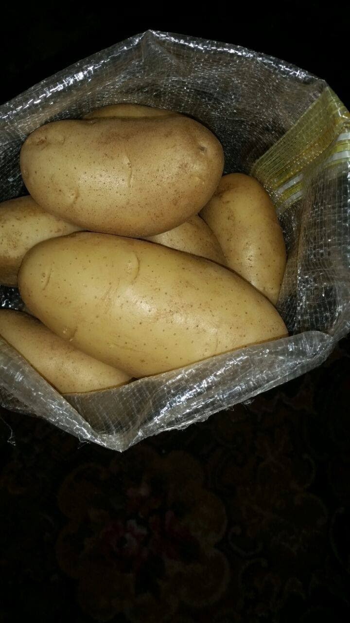 Fresh Egyptian Potatoes – Premium Quality Export