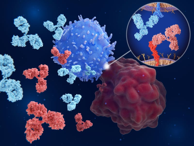 TAA Concealment Strategy to Minimize On-target, Off-tumor Toxicity