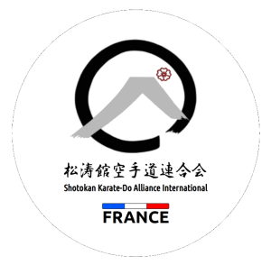 stage skai France avec Vincent a vif/Giéres/Paris