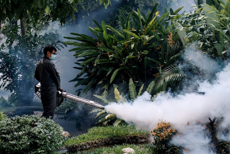 مراقبة الصراصير في جدة 0554186117