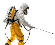 شركة مكافحة حشرات بجدة 0554186117