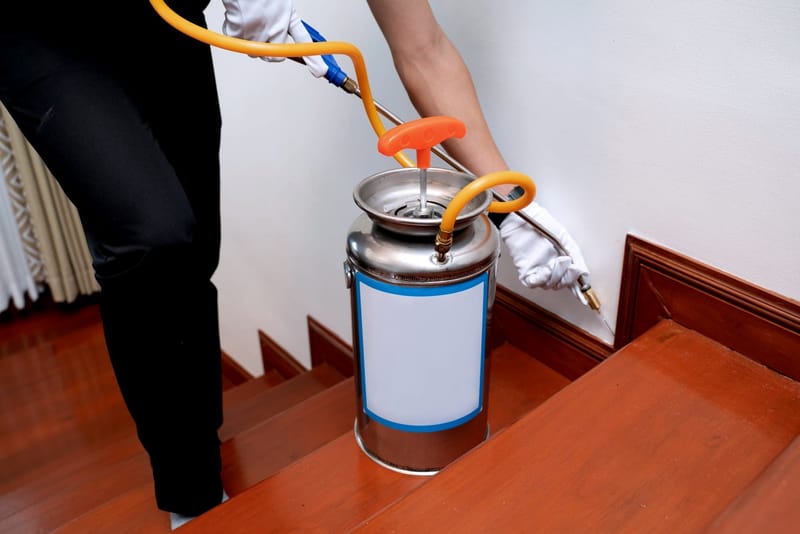 شركة مكافحة النمل الابيض في جدة 0554186117 بيت السعادة
