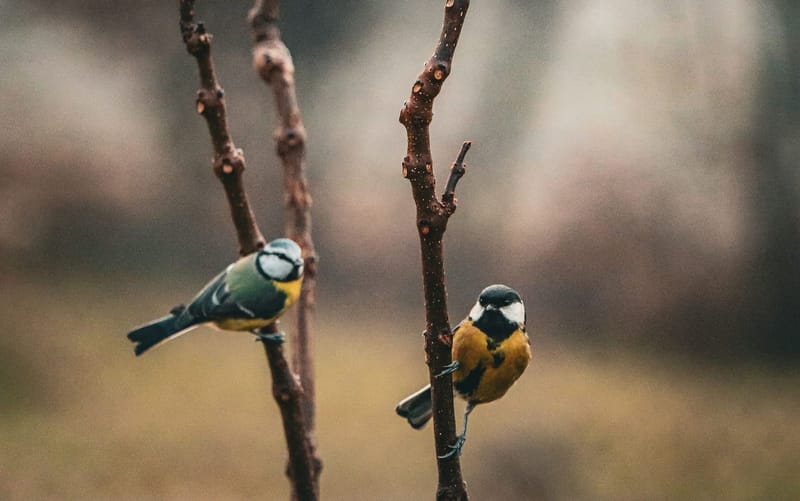 Nieuw aanbod: cursus houd me vast