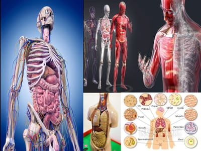 Evaluarea starii generale de sanatate 