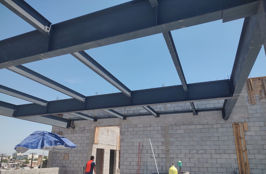 IDU-PROYECTO ALMATER