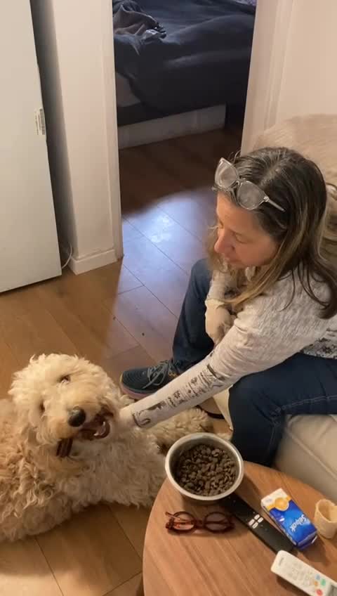 סרטון אילוף thumbnail