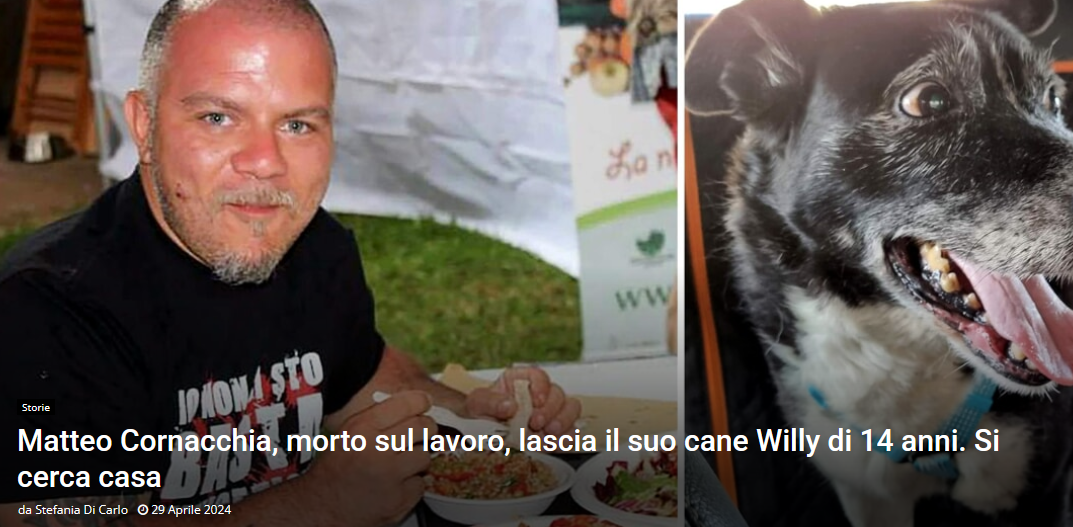 Matteo Cornacchia Muore sul lavoro Lasciando Dietro di Sé il Suo Cane di 14 Anni
