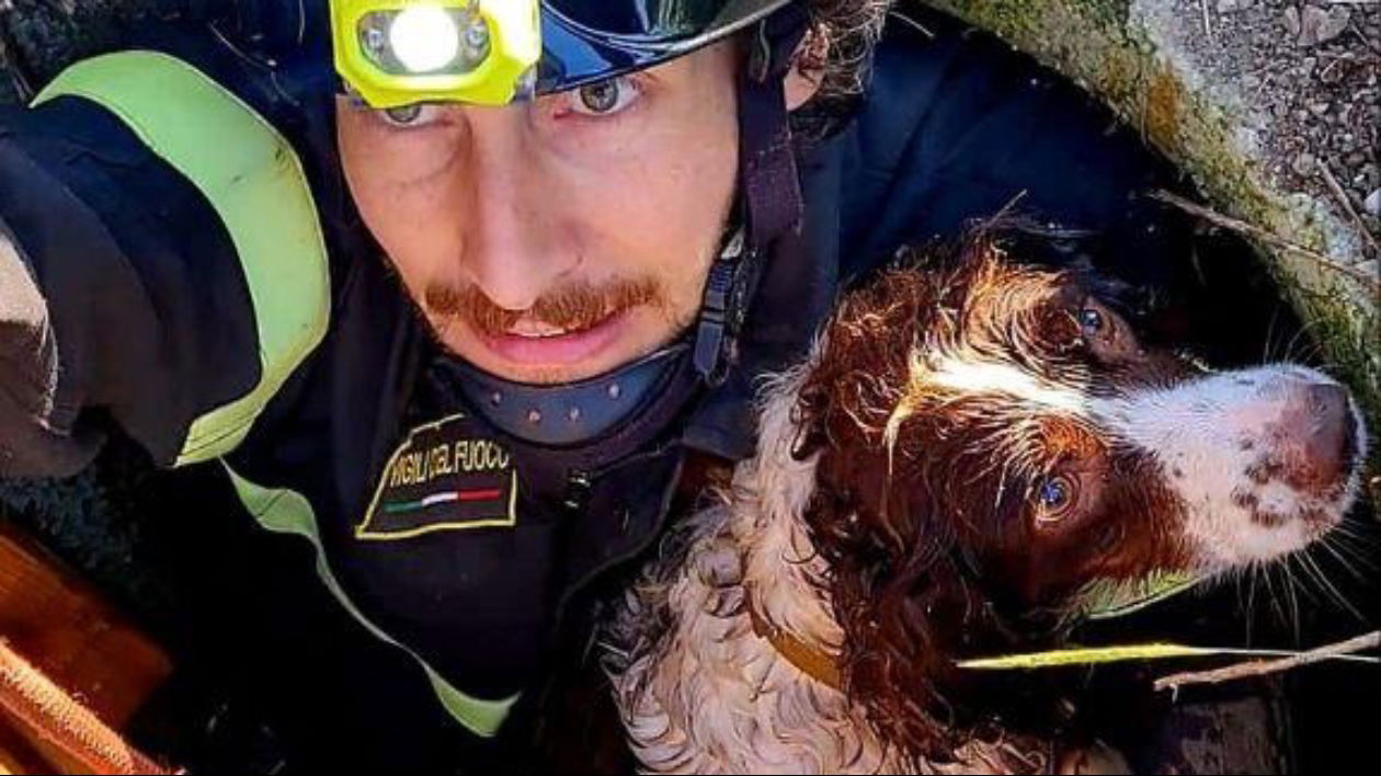 Nonantola, cane da caccia finisce in un pozzetto: salvato dai soccorritori
