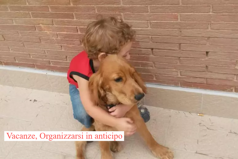 Viaggiare con gli animali ? Programmare con anticipo per avere documenti e dotazione utile