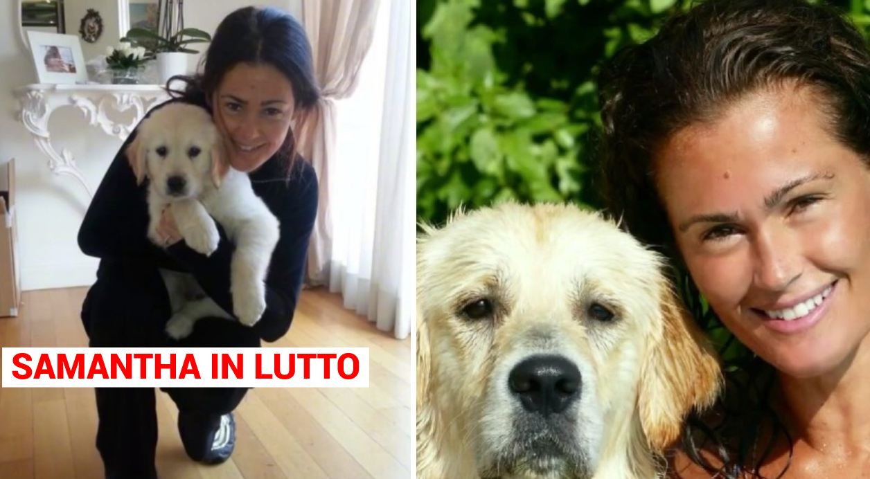 Samantha De Grenet in lacrime per la morte del suo cane Bdog💔