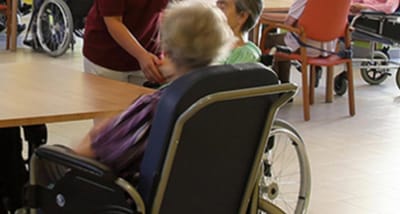 Castelfranco, 92enne rischia di finire a processo per maltrattamenti..