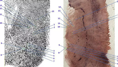 Investigatori hanno analizzato alcuni appunti manoscritti di Andrea Sempio