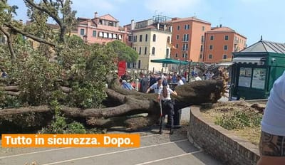 Venezia: cade un albero al terminal auto, dieci feriti e tanta paura.