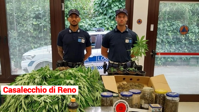 Gestiva un campo di marijuana nel reno arrestato 40enne italiano