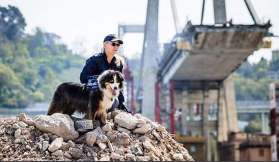 Morto Night Spirit, il cane poliziotto eroe del Ponte Morandi aveva 14 anni