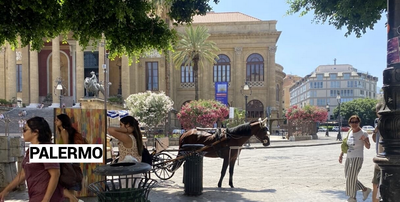 Palermo, Scontro politico sulle carrozze turistiche: il sindaco Lagalla chiede il ritiro della proposta,