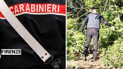 Mistero nel bosco: Franka Ludwig trovata morta, indagini per omicidio