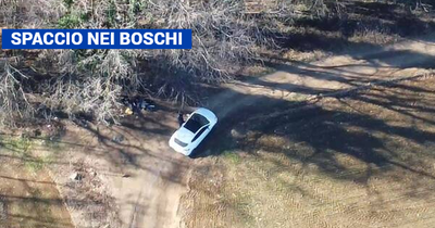 Smantellata rete di spaccio nei boschi: 9 arresti, 14 indagati e 14 segnalati alla Prefettura