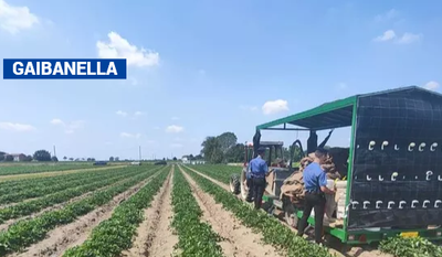 Incidente in un'azienda agricola ferrarese, morta una donna