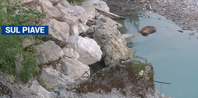 Tragedia sul Piave: Gaia, 15 anni, muore schiacciata da un masso mentre scatta un selfie con le amiche