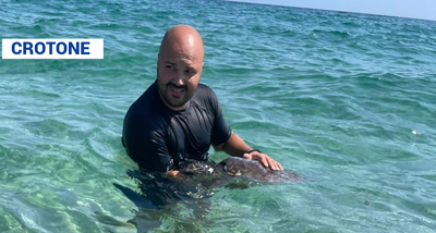 Agente della Polizia salva una tartaruga Caretta Caretta ferita