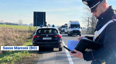 Donna investita e uccisa mentre porta a spasso il cane: tragedia all’alba