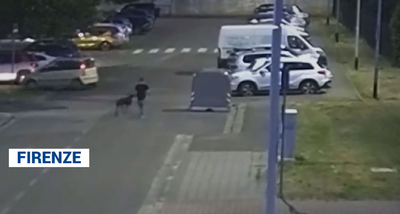 Usa il cane per rubare un’auto: arrestato 41enne per rapina aggravata