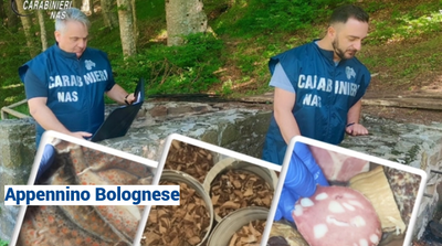 Rifugi dell'orrore, sequestrati 700 chili di cibo tra carne scaduta da 20 anni, escrementi di topo e selvaggina nel bagno