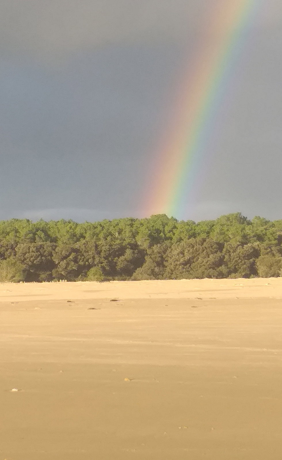 Arzmaël Natur'Héol        Guidances Bains de Forêt Humanistes du Veillon