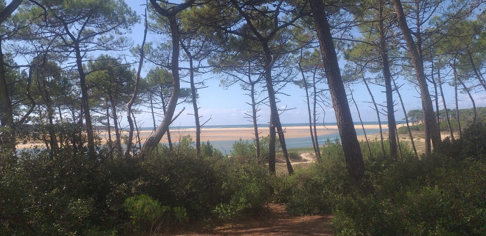 Programmation Mois de Septembre🌳BAINS DE FORÊT GUIDES DU VEILLON🌳