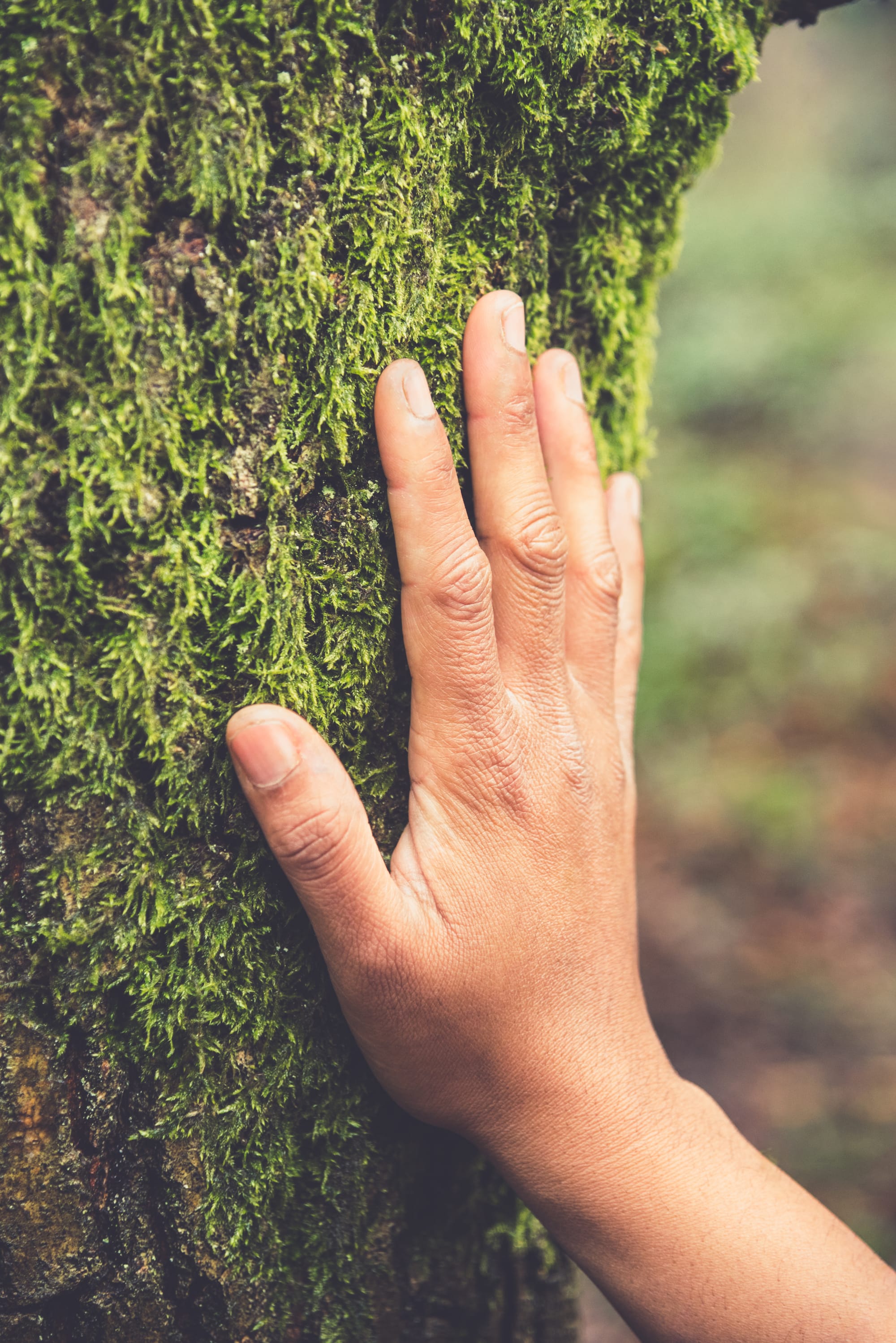 Programmation Mois de Septembre🌳BAINS DE FORÊT GUIDES DU VEILLON🌳