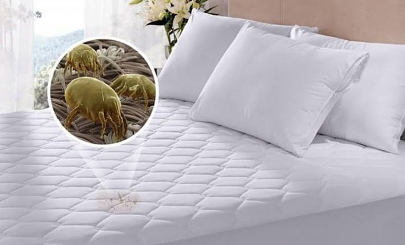 Lavagem de Colchões