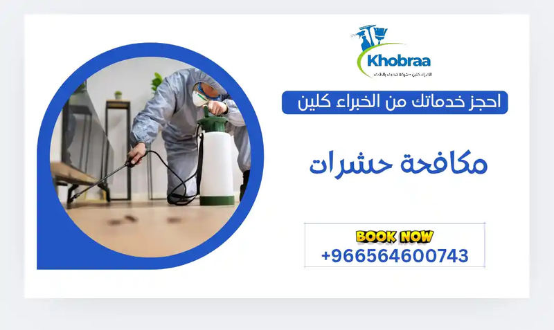 خدمة مكافحة حشرات بالطائف " الخبراء كلين"