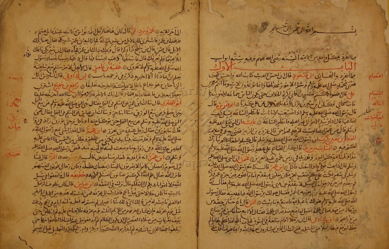 هبة الله ابن البارزي (ت٧٣٨هـ) ومخطوطة مفردات الكتب الستة!!