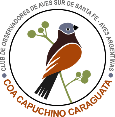 COA Capuchino Caraguatá