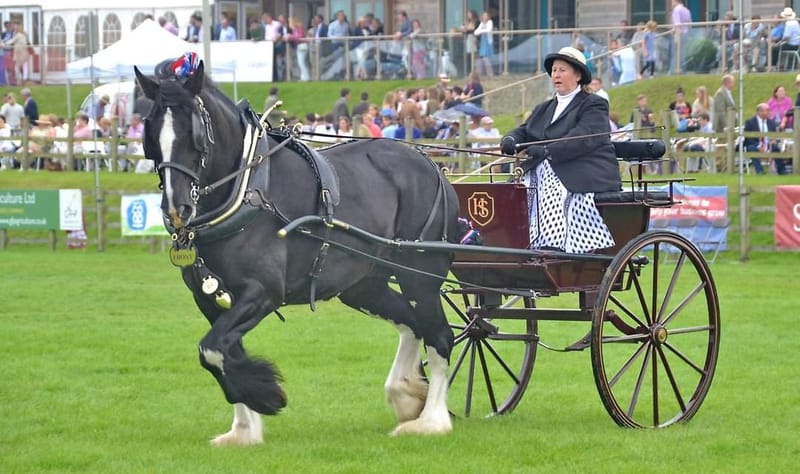 Demonstrating Driving A Ladies Cart