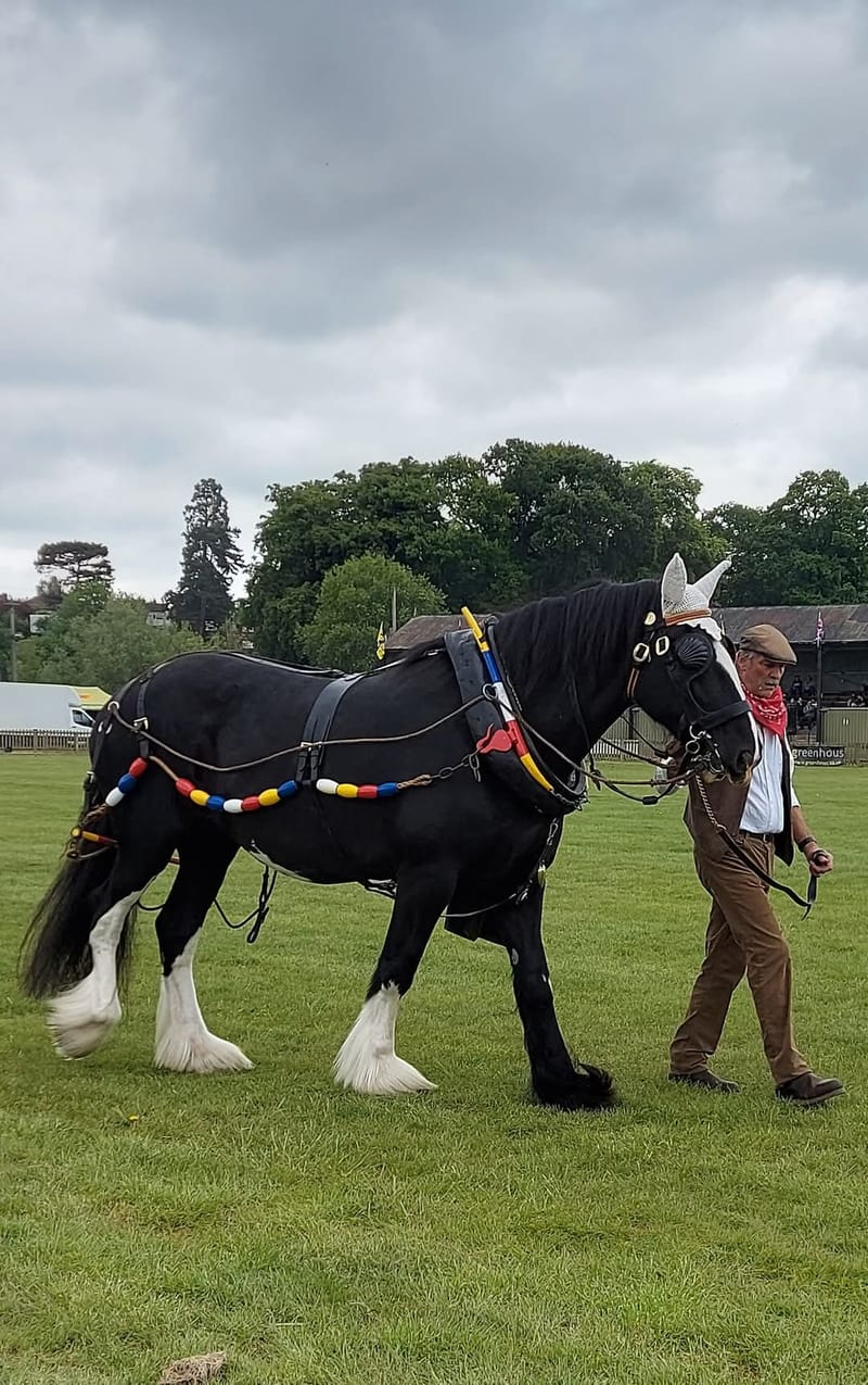 Shropshire County Show May 2025