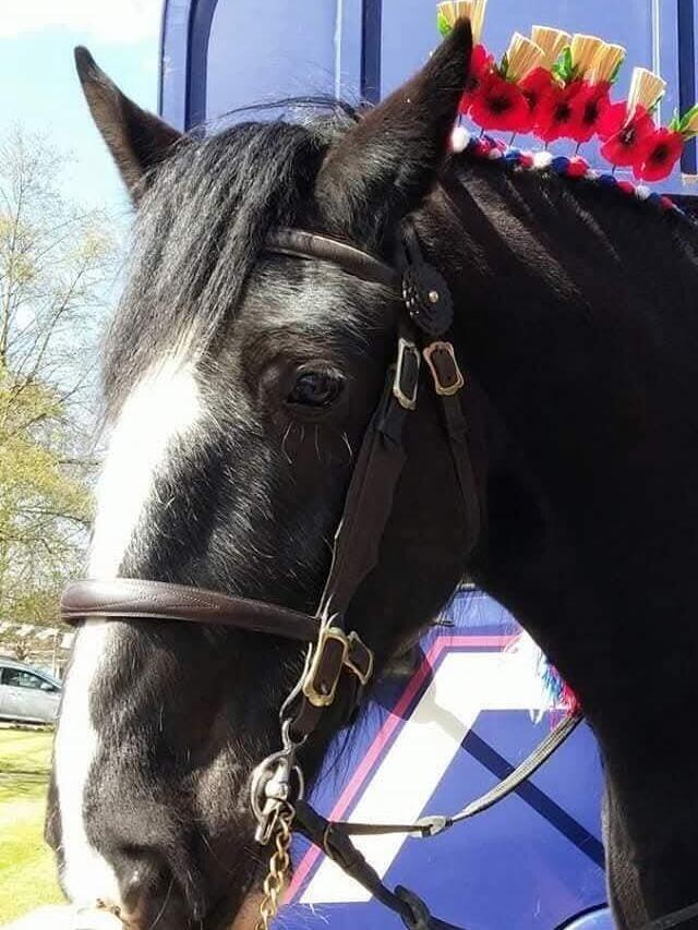 Celebrating St George's Day in April 2024