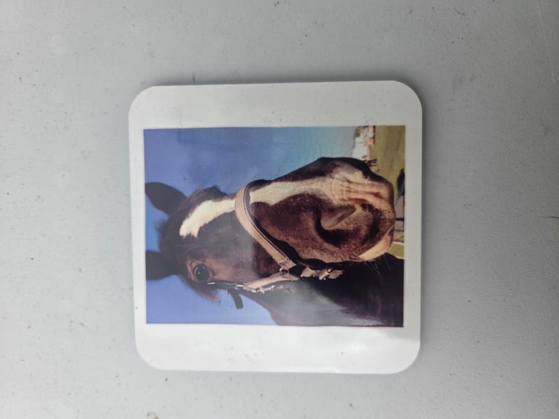 Coasters