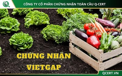 Chung nhan VietGAP trong trot