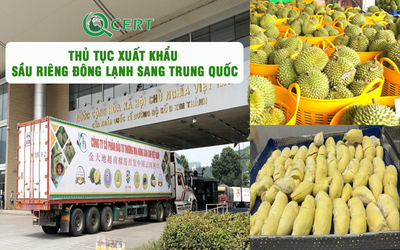 Xuat khau sau rieng dong lanh sang Trung Quoc