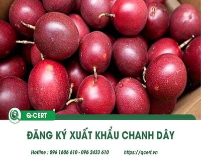 Hướng dẫn xuất khẩu chanh dây sang Trung Quốc hiệu quả, uy tín