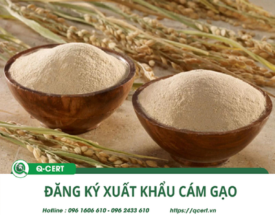 Đăng ký xuất khẩu cám gạo mới nhất 2025