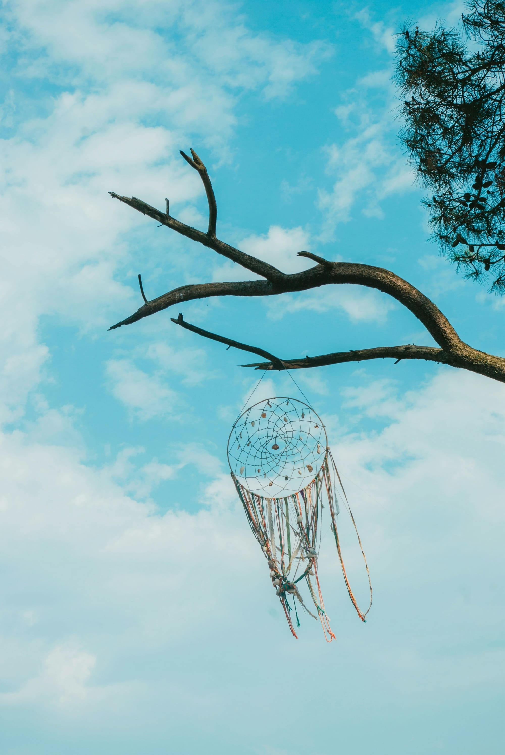 Lecturas comentadas Viaje A Itxlan