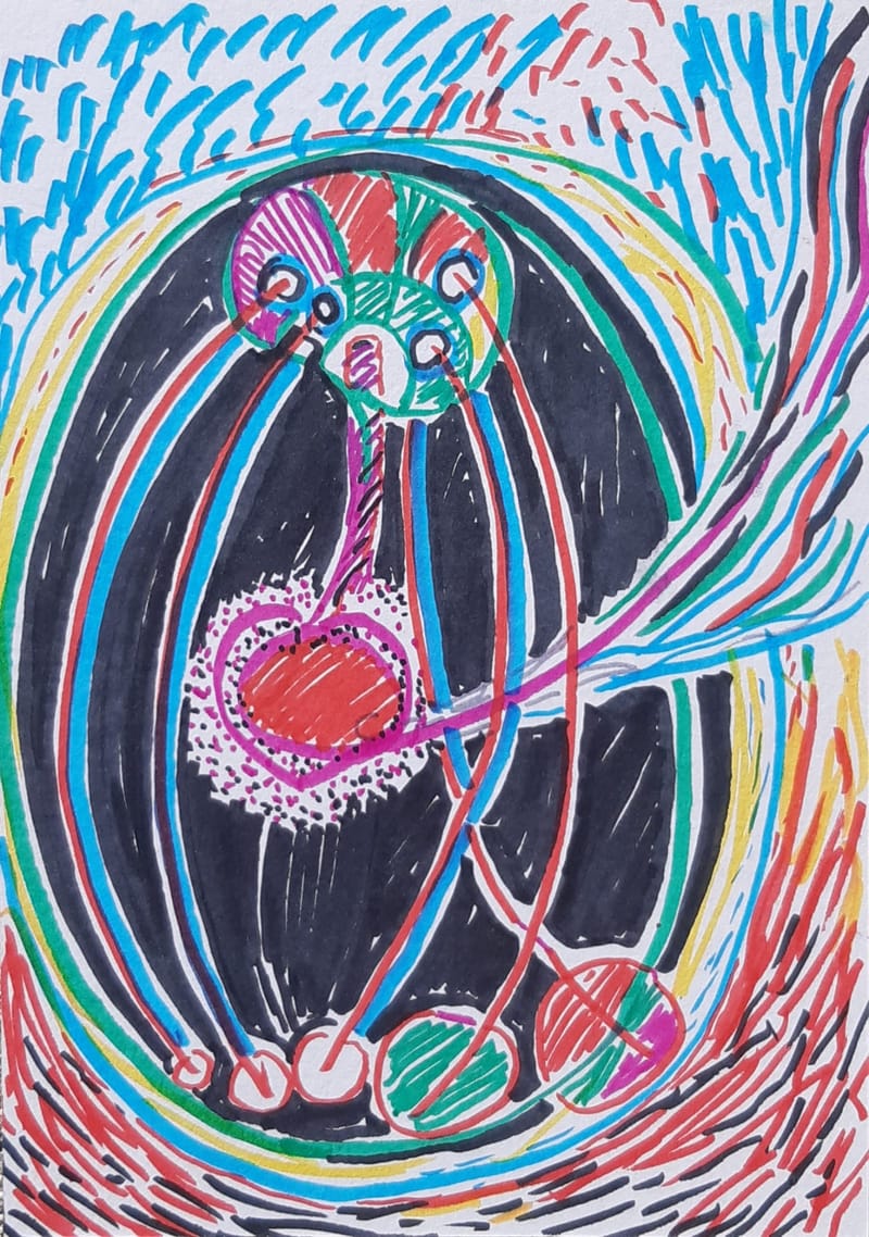 Descubre la nueva medicina germánica