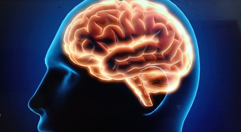 Curso de introducción a la NMG